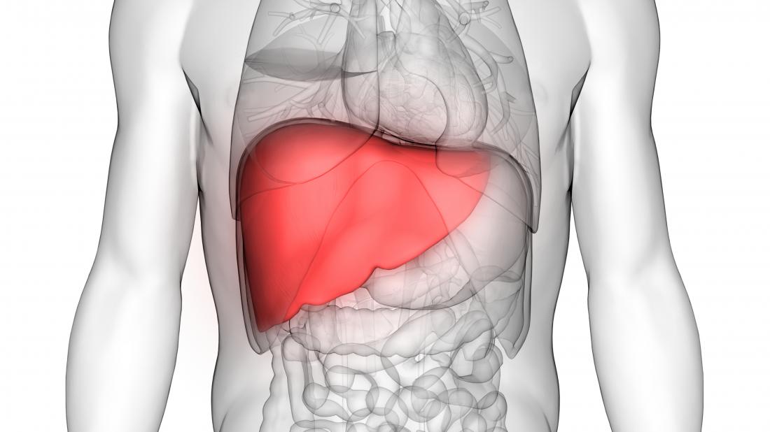 best Liver transplant Care